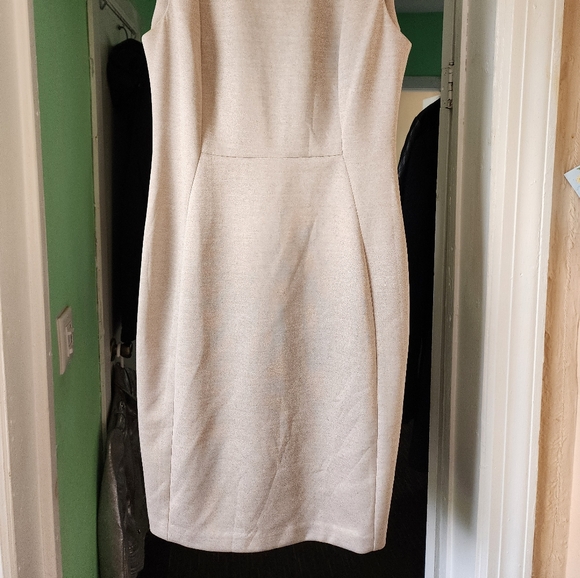 Calvin Klein biege dress. - Picture 6 of 8